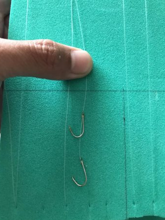 アジュール大サバ