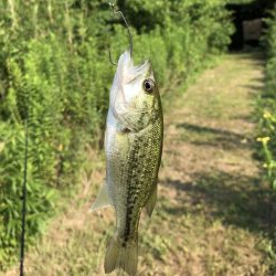 久しぶりのバス釣り