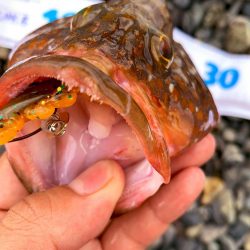 ライトロックランガン