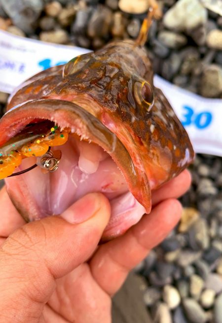 ライトロックランガン