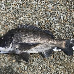 イチノ兄弟、釣果!