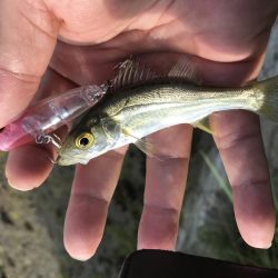 今シーズン初メッキ!