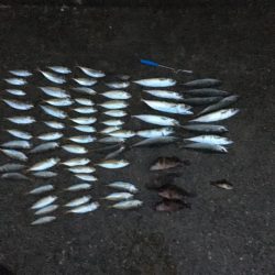 雨の日って釣れるのかな?