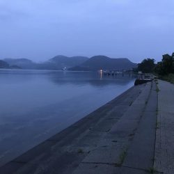 フラットフィッシュ釣行