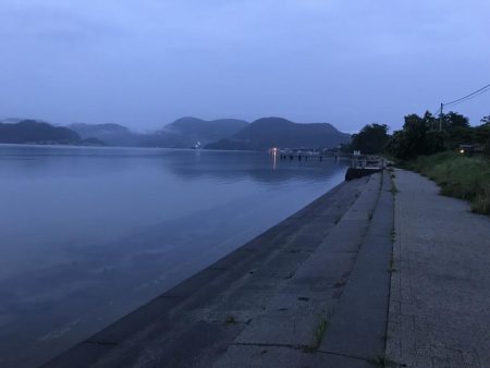 フラットフィッシュ釣行