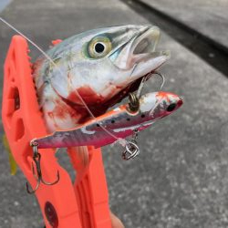 ポーアイ沖堤防LSJ