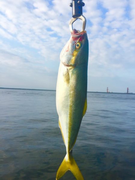 何投げても釣れる