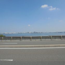 日中前打ち初クロダイ