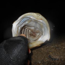 ランカーが暴走!!