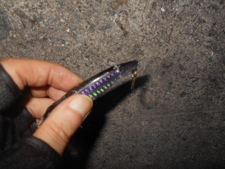 なんという破壊力…。