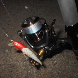 テトラ際で当たる当たる♪