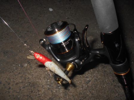 テトラ際で当たる当たる♪