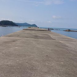 てるちゃん渡船