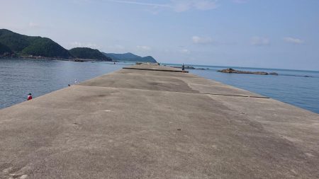 てるちゃん渡船