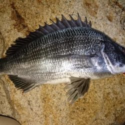 とうとうやりました❗