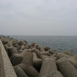 ライトショアジギング