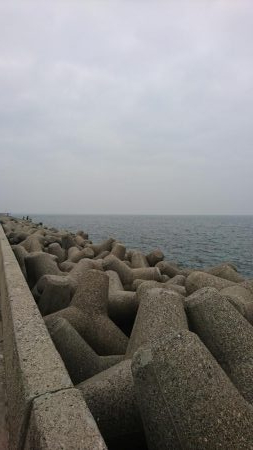 ライトショアジギング