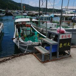 泉州丸さんで五目釣り