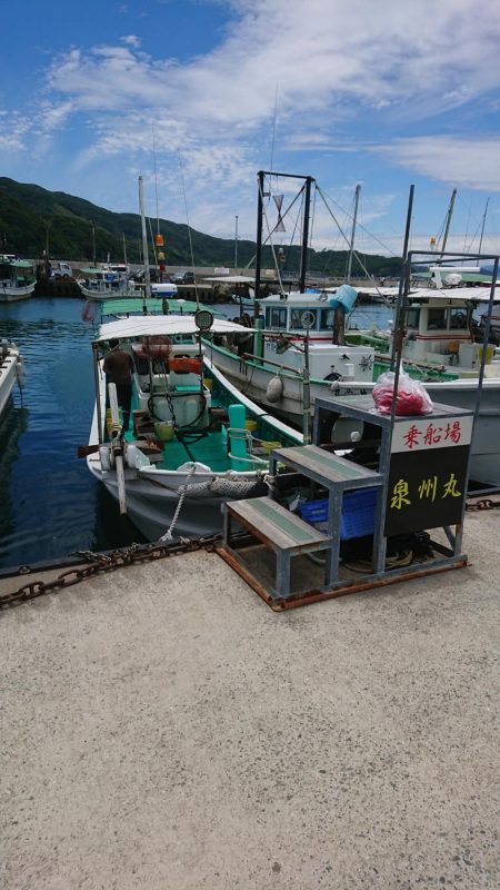 泉州丸さんで五目釣り