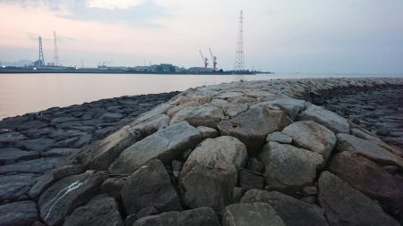 出張先にてチヌ