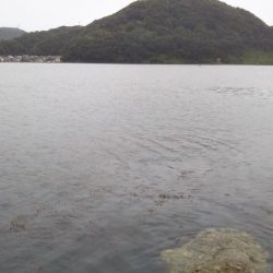 チヌ狙いアジ釣り。