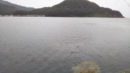 チヌ狙いアジ釣り。