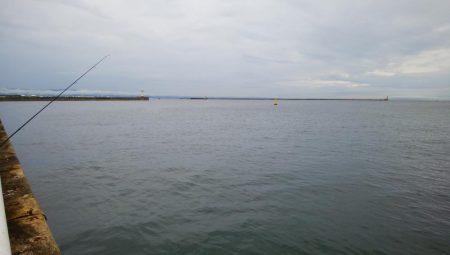 南港海釣り園にて釣行
