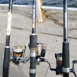 のませ釣りでツバス