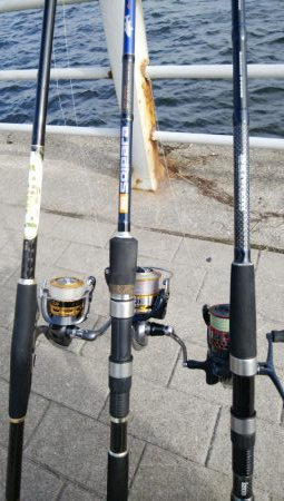 のませ釣りでツバス