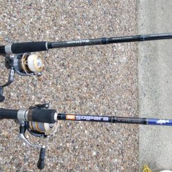 初めての場所でやっとサイズアップ