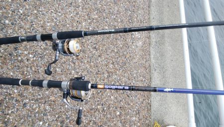 初めての場所でやっとサイズアップ