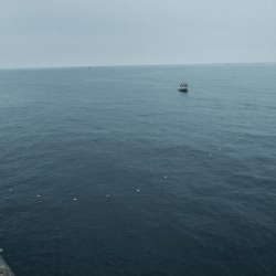 久々によく釣れた