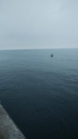 久々によく釣れた