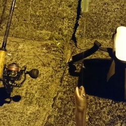 なんでも！釣りたい！