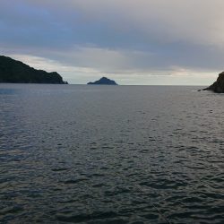 初場所でうまいやつ