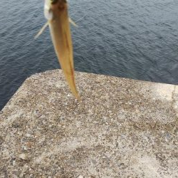 ビッグキス！！