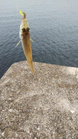 ビッグキス！！