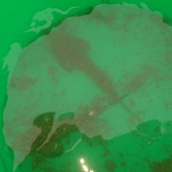 梅雨の晴れ間に