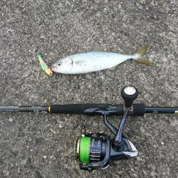 トップゲーム開幕