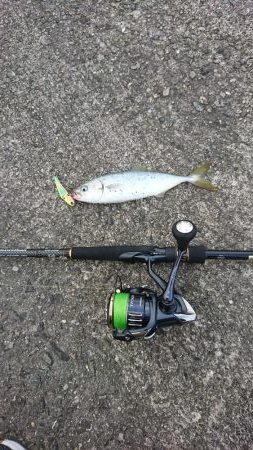 トップゲーム開幕