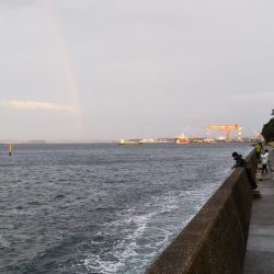 雨上がりに虹が♪……雨の日曜日も釣り座は満員御礼