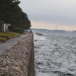 陸っぱりタチウオも，波高く雨で空いていて……