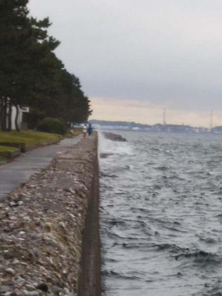 陸っぱりタチウオも，波高く雨で空いていて……