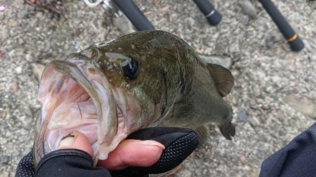 増水続きの五三川