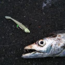 陸っぱりで超特大級ドラゴンをゲット！