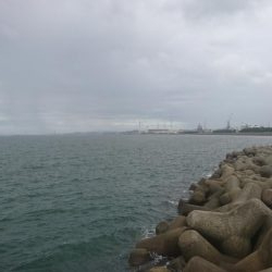 モジャッコ釣り