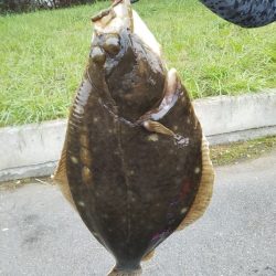 釣り座の確保が難しい……朝マヅメ