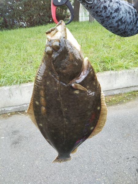 釣り座の確保が難しい……朝マヅメ