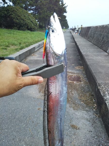 本日は時合い無し？？