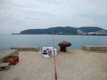 洲本周辺のキス情報